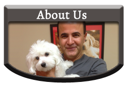 About Us - Vellore Woods Veterinary Clinic - Veterinarian in Vaughan, ON - Full Service Animal Hospital & Pet Dental Centre
