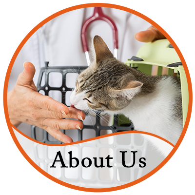 About Us - Vellore Woods Veterinary Clinic - Veterinarian in Vaughan, ON - Full Service Animal Hospital & Pet Dental Centre