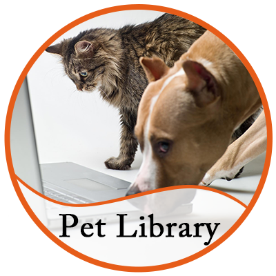 Pet Library - Vellore Woods Veterinary Clinic - Veterinarian in Vaughan, ON - Pet Dental Centre