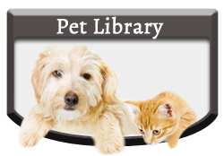Pet Library - Vellore Woods Veterinary Clinic - Veterinarian in Vaughan, ON - Pet Dental Centre