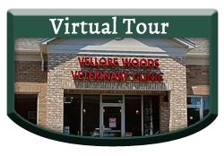 Virtual Tour - Vellore Woods Veterinary Clinic - Veterinarian in Vaughan, ON